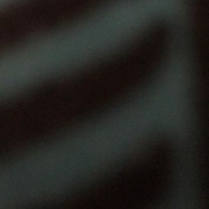 Meet your Posher, Jaden